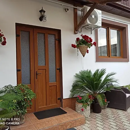 Casa Elena Pensionat Sibiu