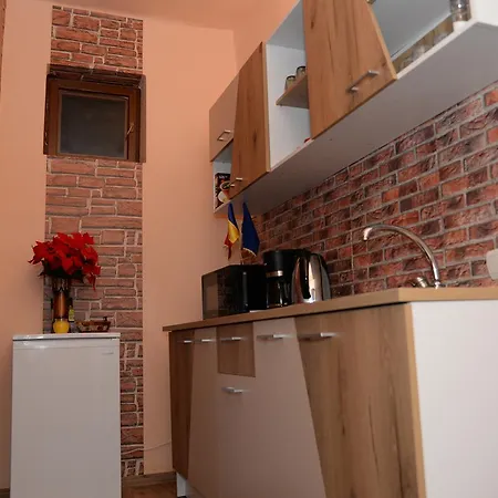 Pensionat Casa Elena Sibiu